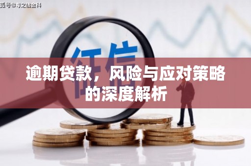 盐源逾期贷款，风险与应对策略的深度解析