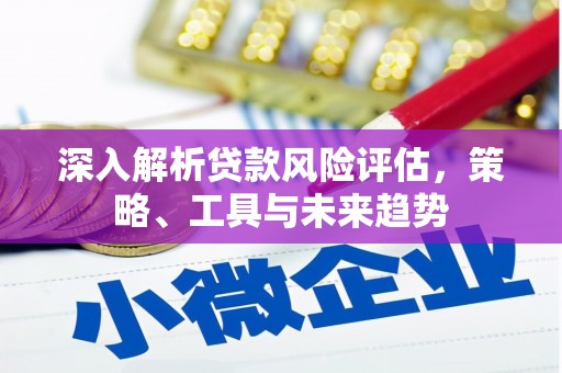 盐源深入解析贷款风险评估，策略、工具与未来趋势