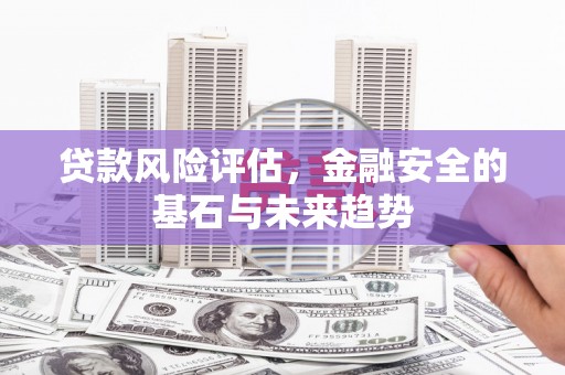 盐源贷款风险评估，金融安全的基石与未来趋势