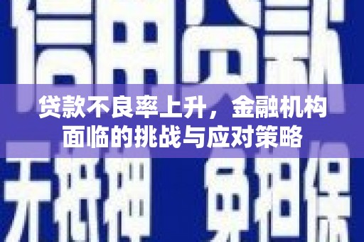 盐源贷款不良率上升，金融机构面临的挑战与应对策略