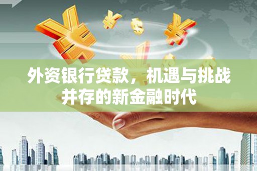 盐源外资银行贷款，机遇与挑战并存的新金融时代