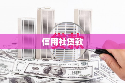 盐源信用社贷款