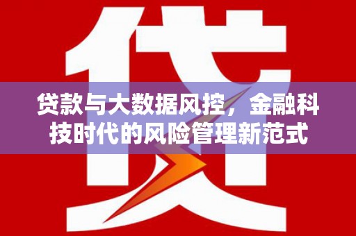 盐源贷款与大数据风控，金融科技时代的风险管理新范式