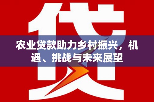 盐源农业贷款助力乡村振兴，机遇、挑战与未来展望