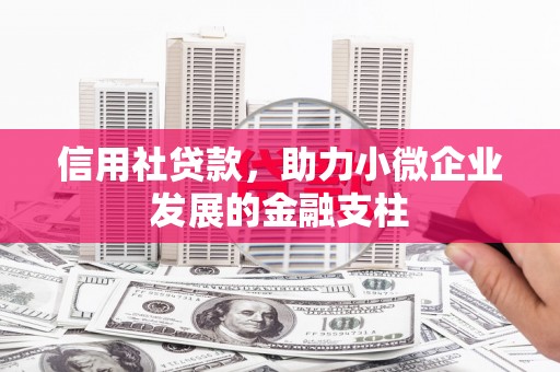 盐源信用社贷款，助力小微企业发展的金融支柱