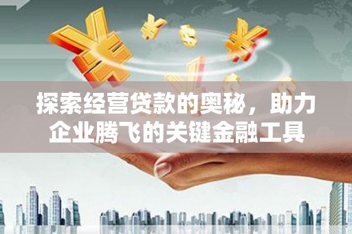 盐源探索经营贷款的奥秘，助力企业腾飞的关键金融工具