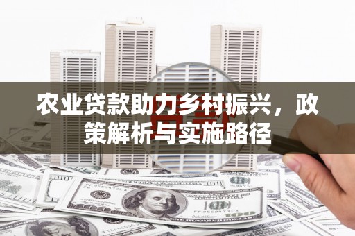 盐源农业贷款助力乡村振兴，政策解析与实施路径