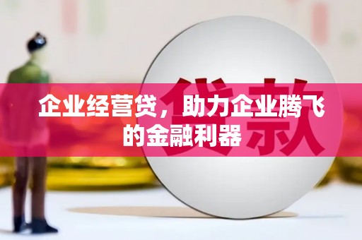 盐源企业经营贷，助力企业腾飞的金融利器