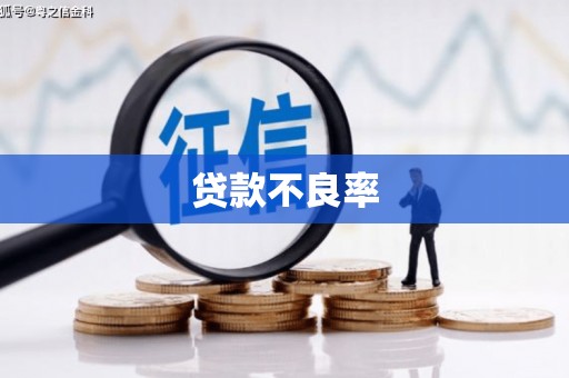 盐源贷款不良率