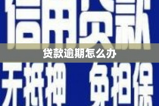 盐源贷款逾期怎么办