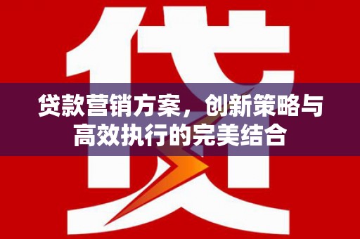 盐源贷款营销方案，创新策略与高效执行的完美结合