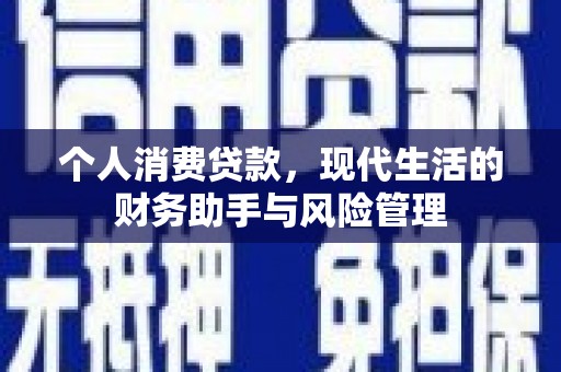 盐源个人消费贷款，现代生活的财务助手与风险管理