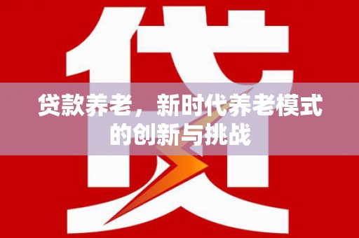 盐源贷款养老，新时代养老模式的创新与挑战