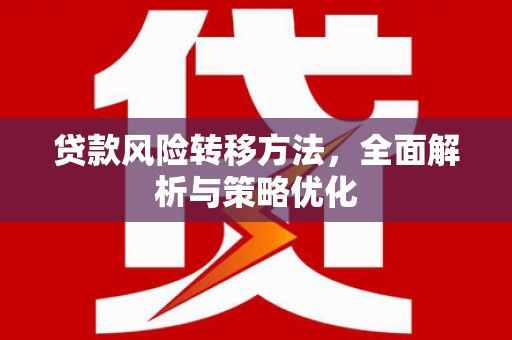 盐源贷款风险转移方法，全面解析与策略优化