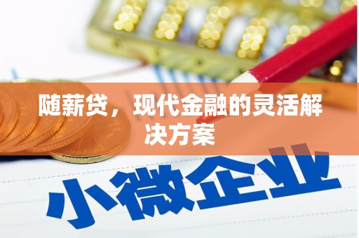 盐源随薪贷，现代金融的灵活解决方案