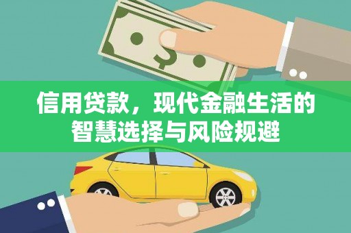 盐源信用贷款，现代金融生活的智慧选择与风险规避