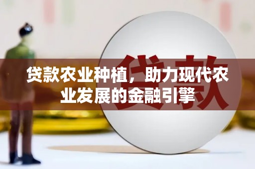 盐源贷款农业种植，助力现代农业发展的金融引擎