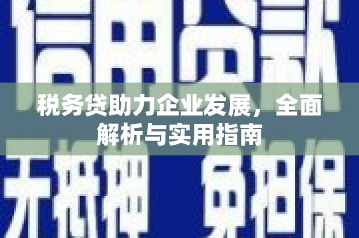 盐源税务贷助力企业发展，全面解析与实用指南