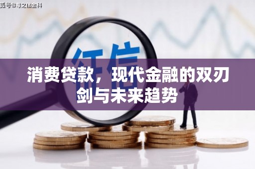 盐源消费贷款，现代金融的双刃剑与未来趋势