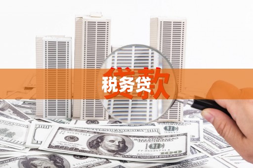 盐源税务贷