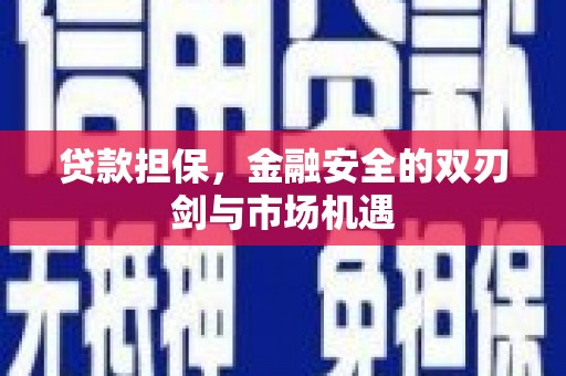 盐源贷款担保，金融安全的双刃剑与市场机遇