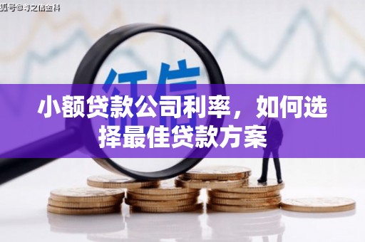 盐源小额贷款公司利率，如何选择最佳贷款方案