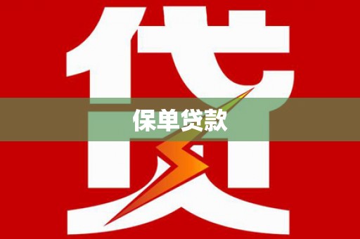 盐源保单贷款