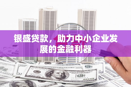 盐源银盛贷款，助力中小企业发展的金融利器
