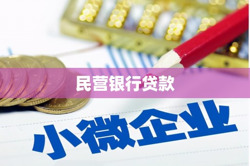 盐源民营银行贷款