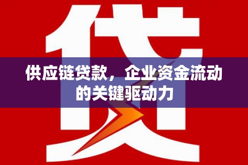 盐源供应链贷款，企业资金流动的关键驱动力