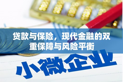 盐源贷款与保险，现代金融的双重保障与风险平衡