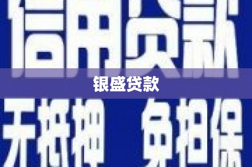 盐源银盛贷款