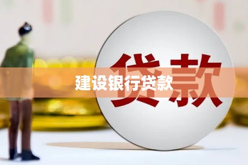 盐源建设银行贷款