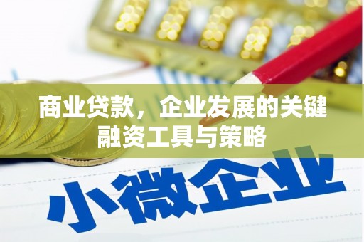 盐源商业贷款，企业发展的关键融资工具与策略