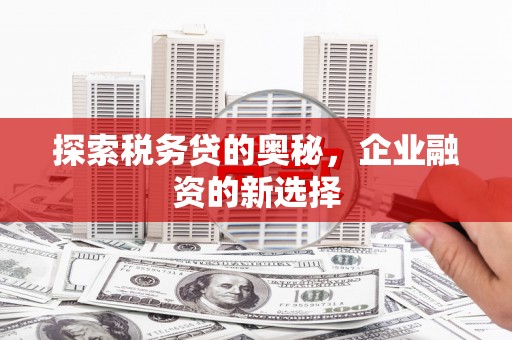 盐源探索税务贷的奥秘，企业融资的新选择