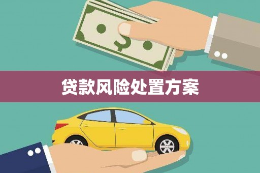 盐源贷款风险处置方案