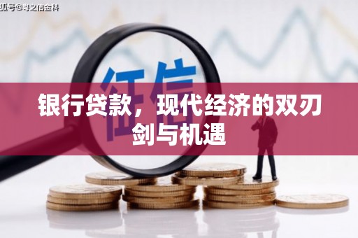 盐源银行贷款，现代经济的双刃剑与机遇