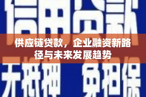 盐源供应链贷款，企业融资新路径与未来发展趋势