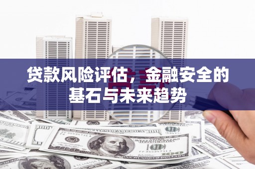 盐源贷款风险评估，金融安全的基石与未来趋势