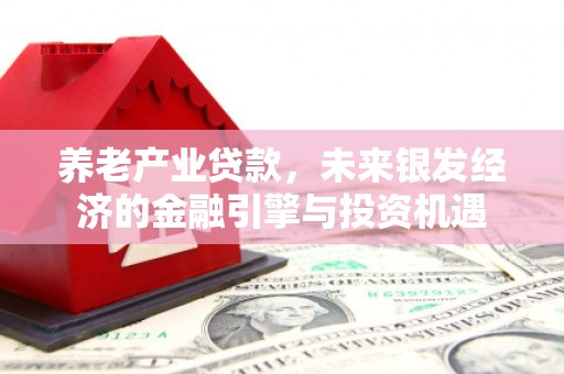 盐源养老产业贷款，未来银发经济的金融引擎与投资机遇