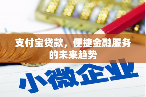 盐源支付宝贷款，便捷金融服务的未来趋势