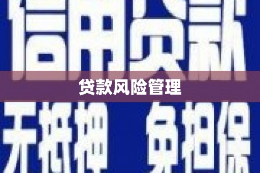 盐源贷款风险管理