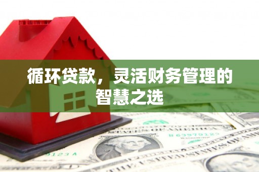 盐源循环贷款，灵活财务管理的智慧之选