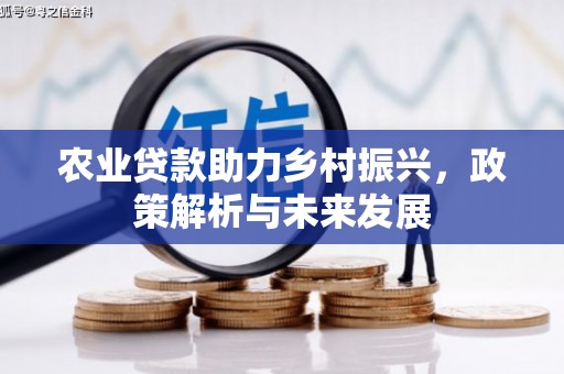 盐源农业贷款助力乡村振兴，政策解析与未来发展