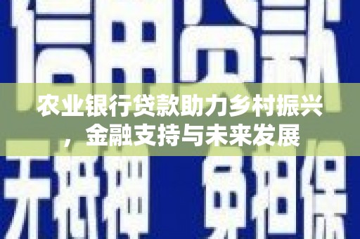 盐源农业银行贷款助力乡村振兴，金融支持与未来发展