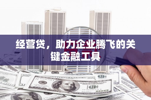 盐源经营贷，助力企业腾飞的关键金融工具