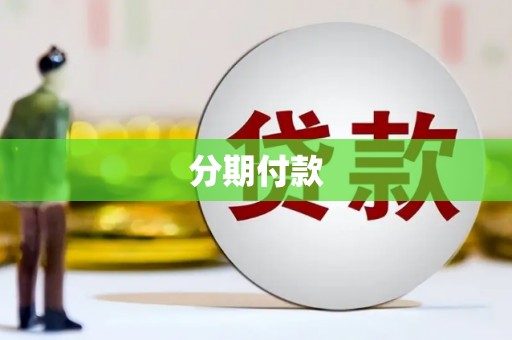 盐源分期付款
