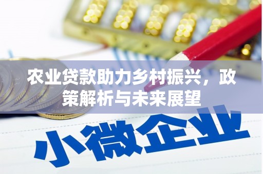 盐源农业贷款助力乡村振兴，政策解析与未来展望