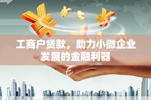 盐源工商户贷款，助力小微企业发展的金融利器