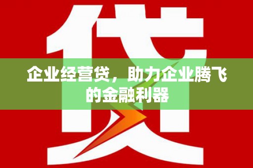 盐源企业经营贷，助力企业腾飞的金融利器